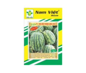 dua-hau-thanh-long-2022