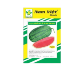 dua-hau-hac-my-nhan-ponglao-922